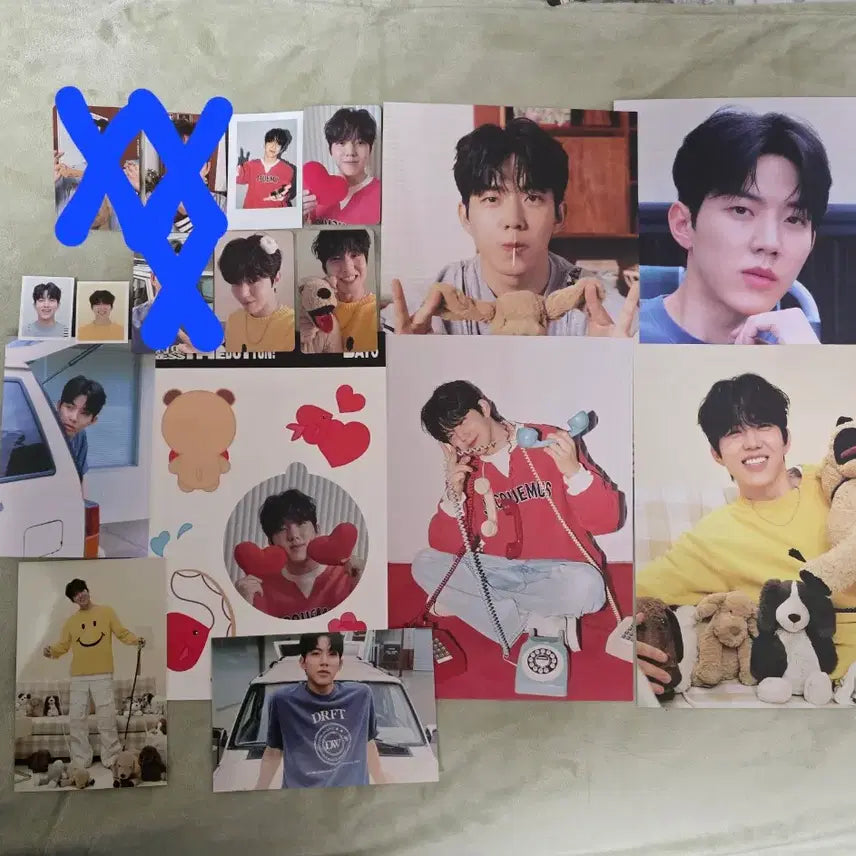 [BUNJANG] Day6 Sungjin POB Bundle Set Photocard / 데이식스 (팬즈특전포함) 25.26 시그 도운 사진속구성 일괄