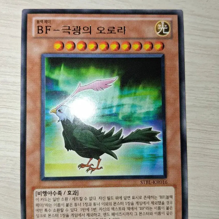 [SOLD OUT] 유희왕 BF 관련 카드들