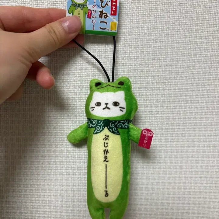 [BUNJANG] Novi Neko Frog Mascot Keychain / 노비네코 개구리 마스코트 키링