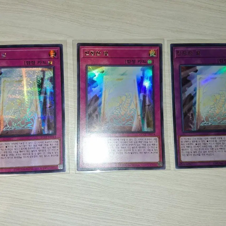 [BUNJANG] Yu-Gi-Oh! Blue-Eyes White Dragon Related Cards / 유희왕 백룡 관련 카드들
