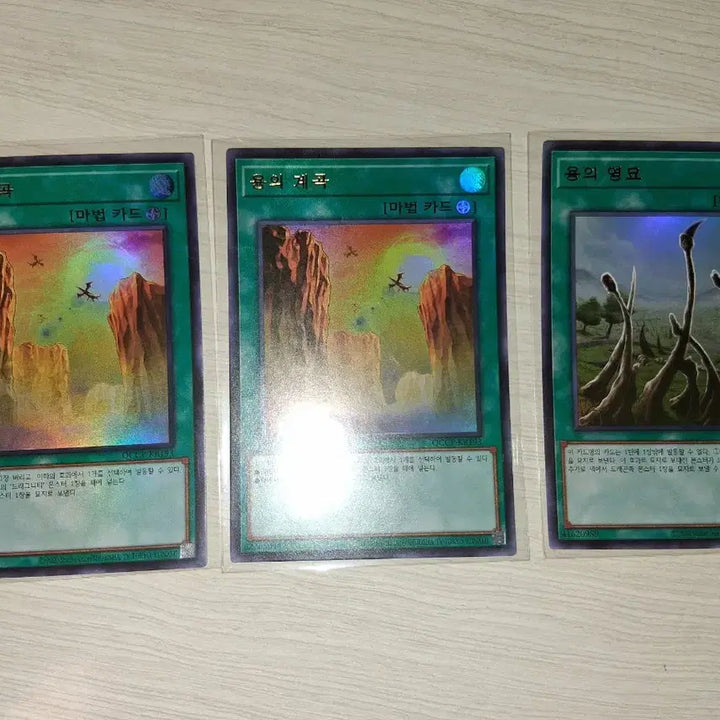 [BUNJANG] Yu-Gi-Oh! Blue-Eyes White Dragon Related Cards / 유희왕 백룡 관련 카드들