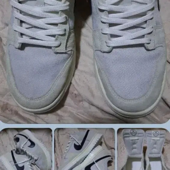 [BUNJANG] Nike Dunk Low Certified Fresh Sneakers / 나이키 덩크 로우 서티파이드 프레쉬 270(275) 택비포함