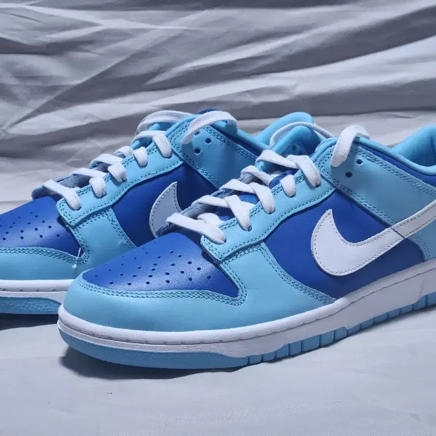 [BUNJANG] Nike Dunk Low Retro QS Argon Sneakers / 나이키 덩크 로우 레트로 QS 아르곤 (270mm)