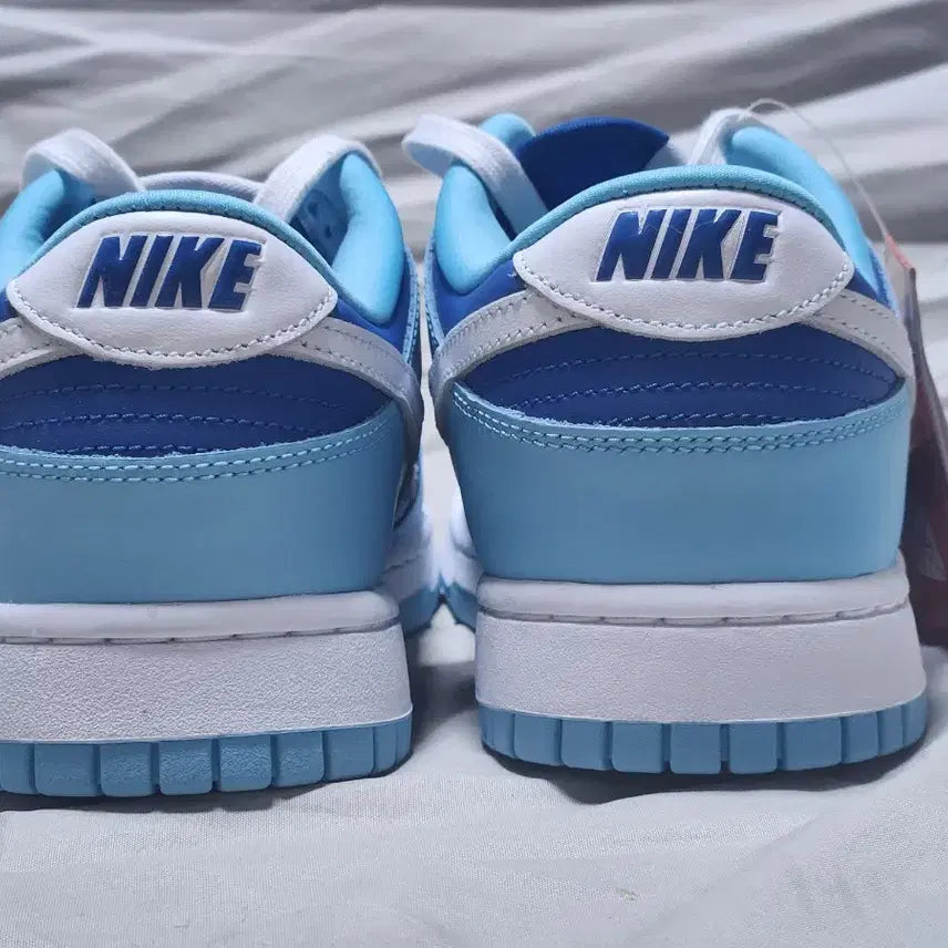 [BUNJANG] Nike Dunk Low Retro QS Argon Sneakers / 나이키 덩크 로우 레트로 QS 아르곤 (270mm)