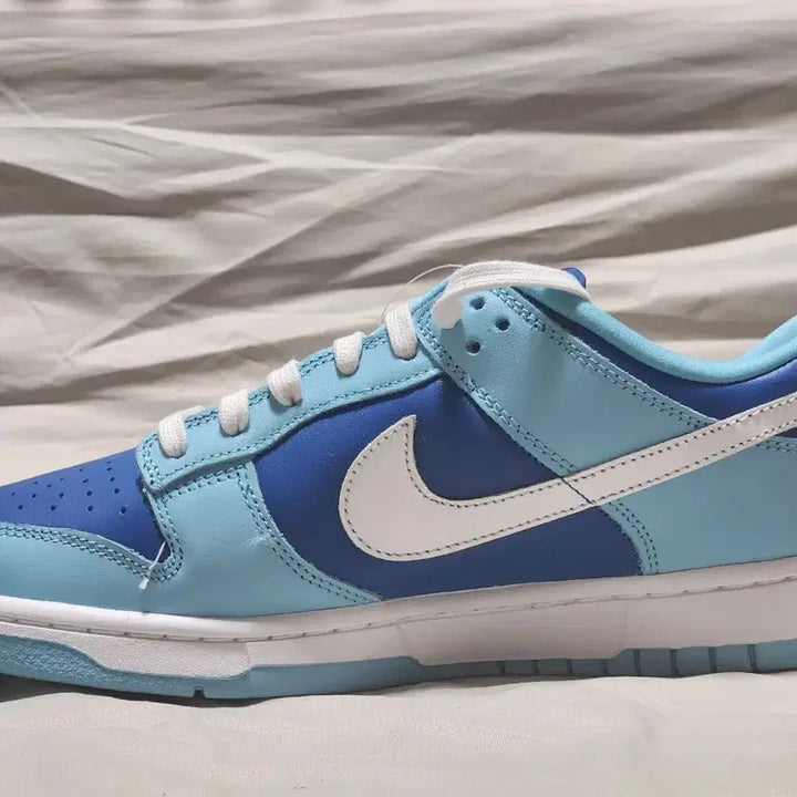 [BUNJANG] Nike Dunk Low Retro QS Argon Sneakers / 나이키 덩크 로우 레트로 QS 아르곤 (270mm)