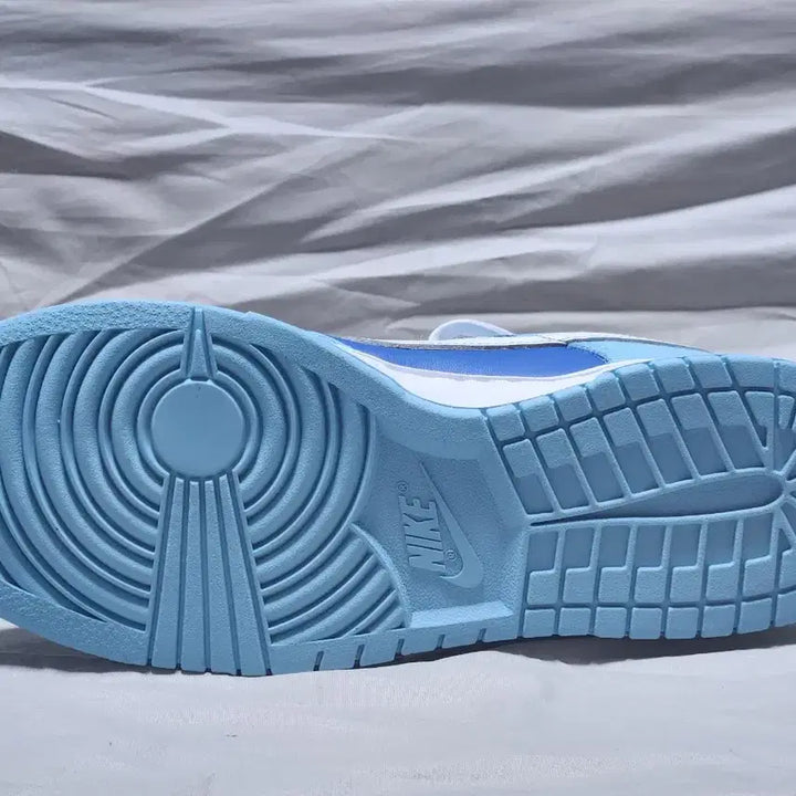 [BUNJANG] Nike Dunk Low Retro QS Argon Sneakers / 나이키 덩크 로우 레트로 QS 아르곤 (270mm)