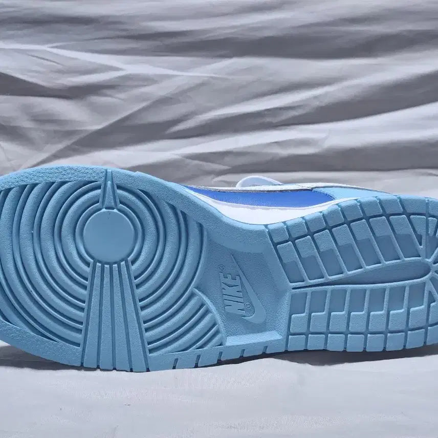 [BUNJANG] Nike Dunk Low Retro QS Argon Sneakers / 나이키 덩크 로우 레트로 QS 아르곤 (270mm)