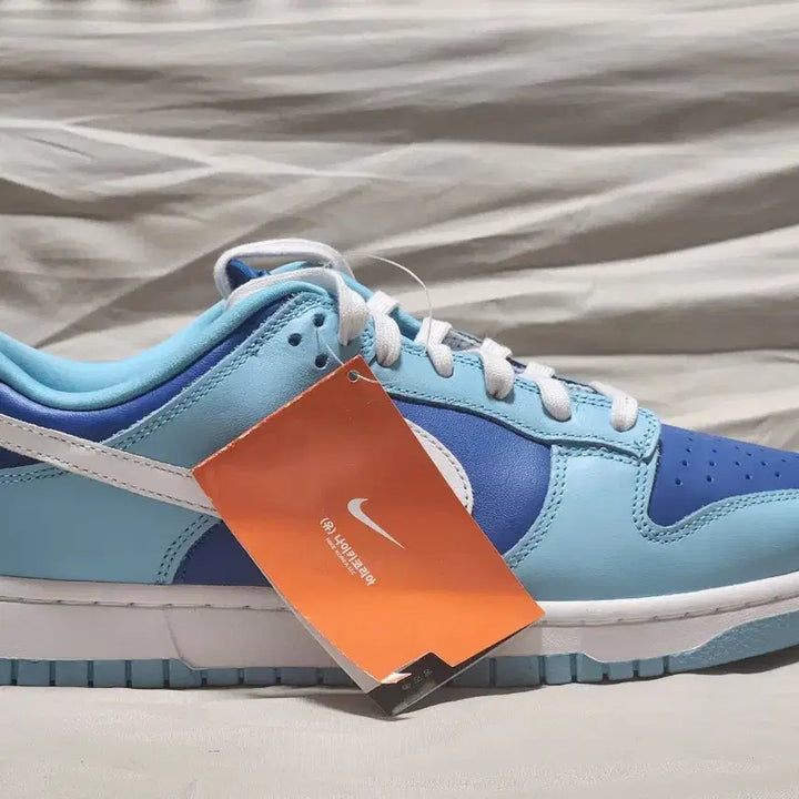 [BUNJANG] Nike Dunk Low Retro QS Argon Sneakers / 나이키 덩크 로우 레트로 QS 아르곤 (270mm)