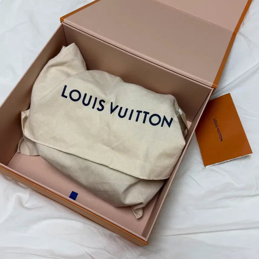 [BUNJANG] Louis Vuitton Mini Cluny Bag / 루이비통 클루니 미니 정품