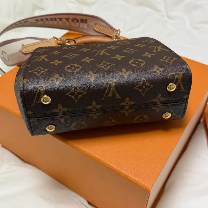 [BUNJANG] Louis Vuitton Mini Cluny Bag / 루이비통 클루니 미니 정품