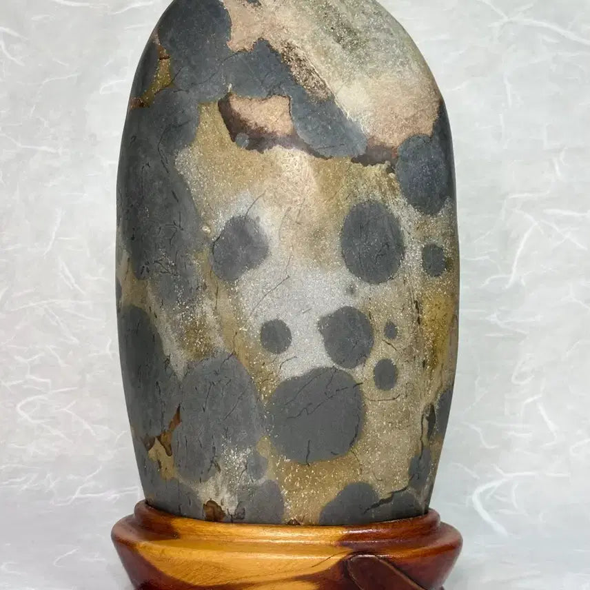 [BUNJANG] Stone Sculpture / 앞뒤로 몽글몽글 귀여운 수석 문양석