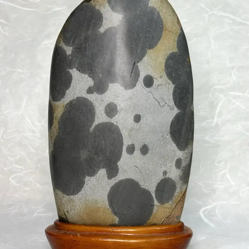 [BUNJANG] Stone Sculpture / 앞뒤로 몽글몽글 귀여운 수석 문양석