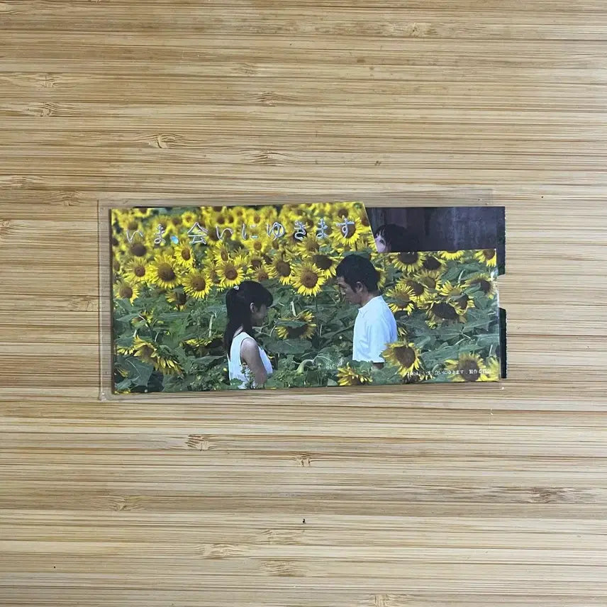 [BUNJANG] Fromm POB Photocard / 지금 만나러 갑니다 특전