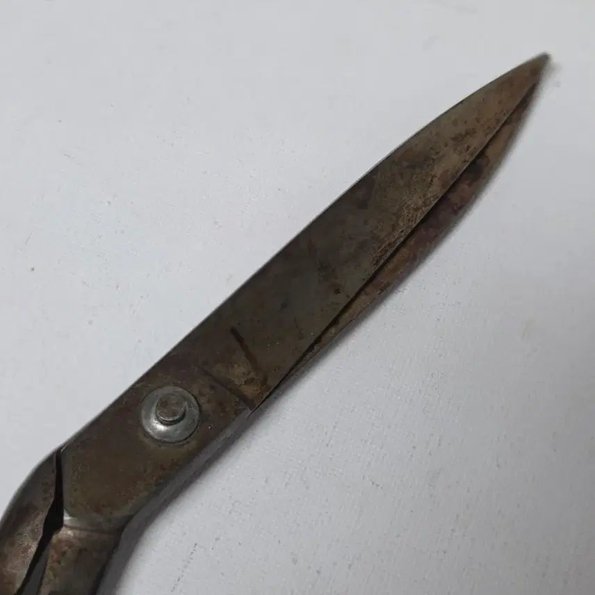 [BUNJANG] Korea Expressway Corporation Iron Cutting Scissors / 70년대 개통식 무쇠 커팅식 가위 한국도로공사 기념 커팅 가위 무쇠