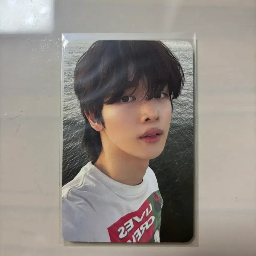 [BUNJANG] RIIZE Photocard / 라이즈 1st앨범 포카 판매합니다! 가격은 얼마든지 제안가능합니다