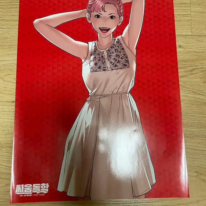 [BUNJANG] 싸움독학 A3 Poster / 싸움독학 A3 포스터 팜