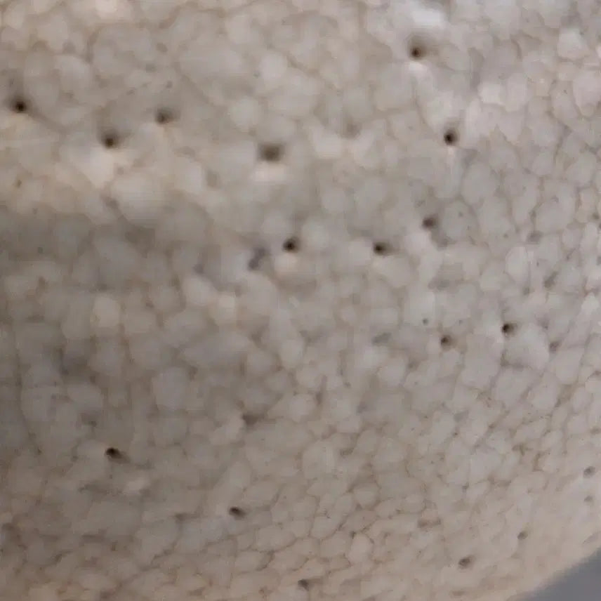 [BUNJANG] Shin Jung Hee White Porcelain Tea Caddy / 신정희 백자 차통