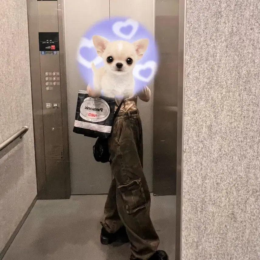 [BUNJANG] Dr. Martens Karaya Platform Boots / 닥터마틴 카라야 235 uk4 키높이 단화 워커