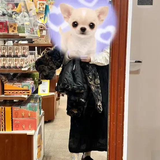 [BUNJANG] Dr. Martens Karaya Platform Boots / 닥터마틴 카라야 235 uk4 키높이 단화 워커