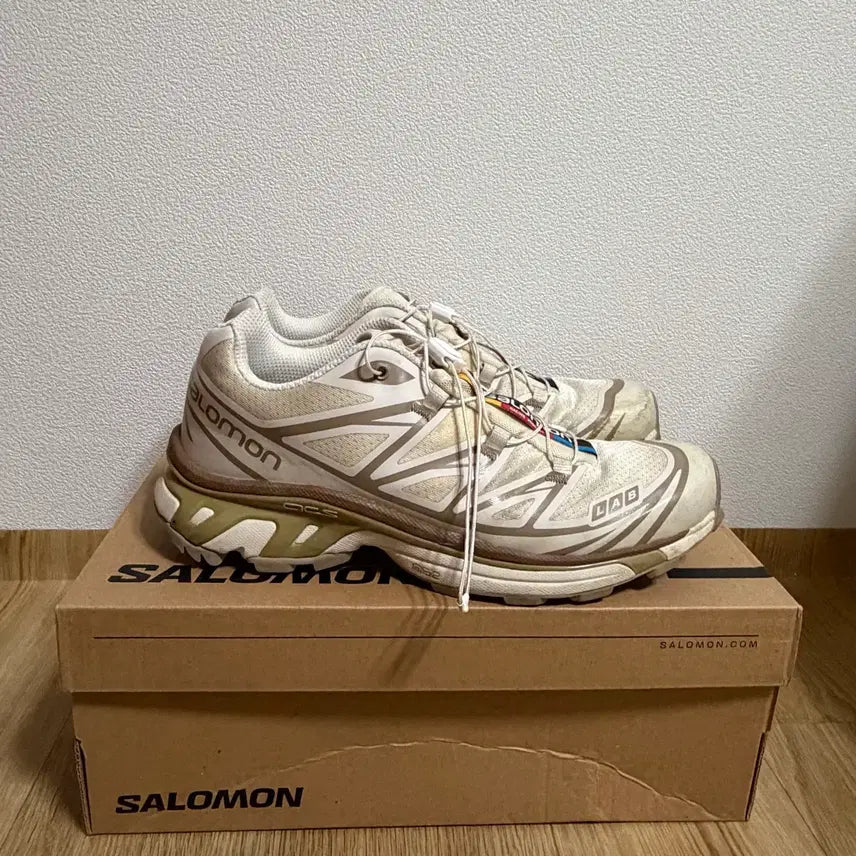 [BUNJANG] Salomon XT-6 Turtle Dove / (245) 살로몬 XT-6 터틀도브