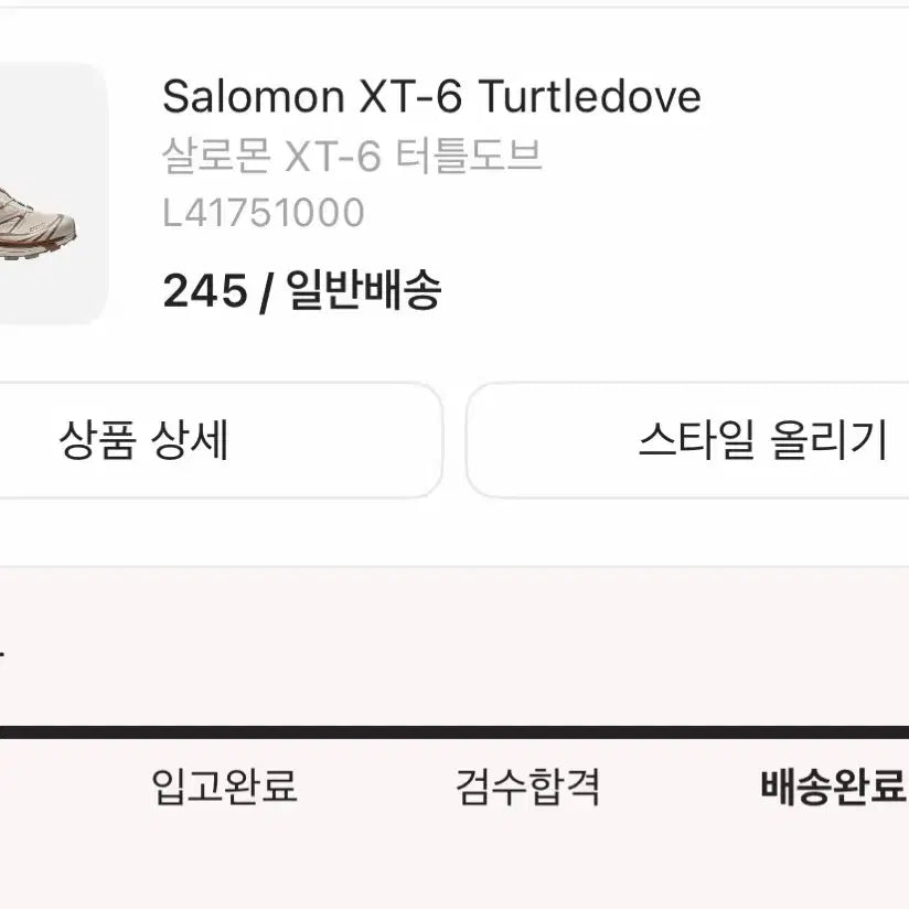 [BUNJANG] Salomon XT-6 Turtle Dove / (245) 살로몬 XT-6 터틀도브
