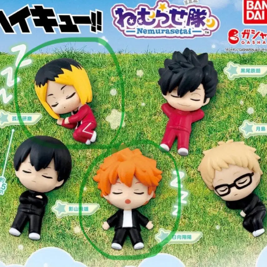 [BUNJANG] Haikyu Nemurase Tai Gacha Bundle Set / 하이큐 네무라세타이 가챠 일괄 판매