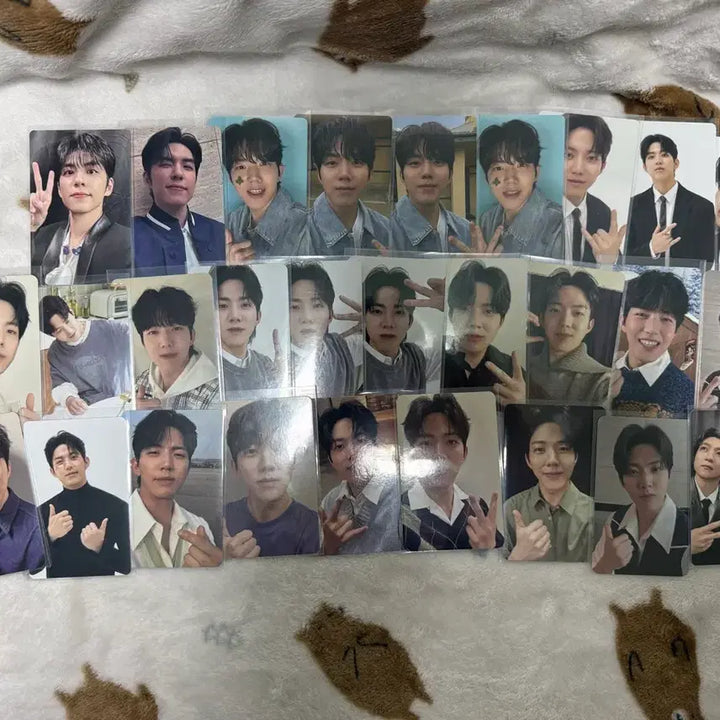 [BUNJANG] DAY6 Bundle Set Photocard / 데이식스 포토카드 일괄 양도 (21~23일까지만!!)