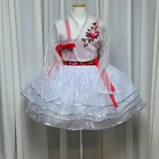 [BUNJANG] Fusion Hanbok Costume / 고고장구. 난타북. 퓨젼한복. 새상품. 시스루 홑겹