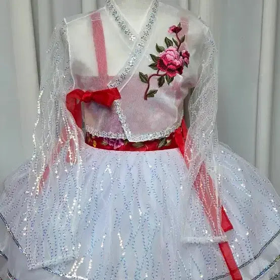 [BUNJANG] Fusion Hanbok Costume / 고고장구. 난타북. 퓨젼한복. 새상품. 시스루 홑겹