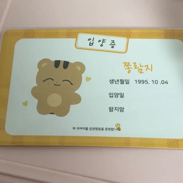 [SOLD OUT] 세븐틴 윤정한 쫑람지 8cm인형 + 전체특전 + 인형모자 + 포토카드 등