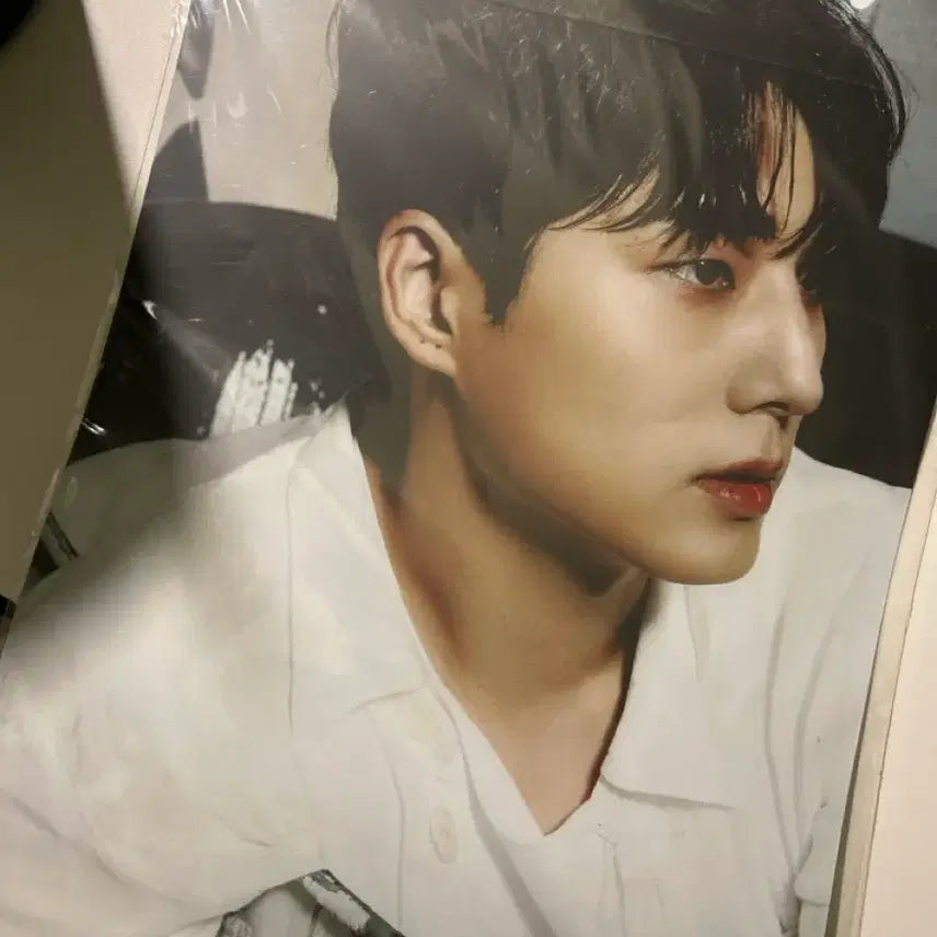 [SOLD OUT] (미개봉) 데이식스 밴드에이드 포스터 영케이