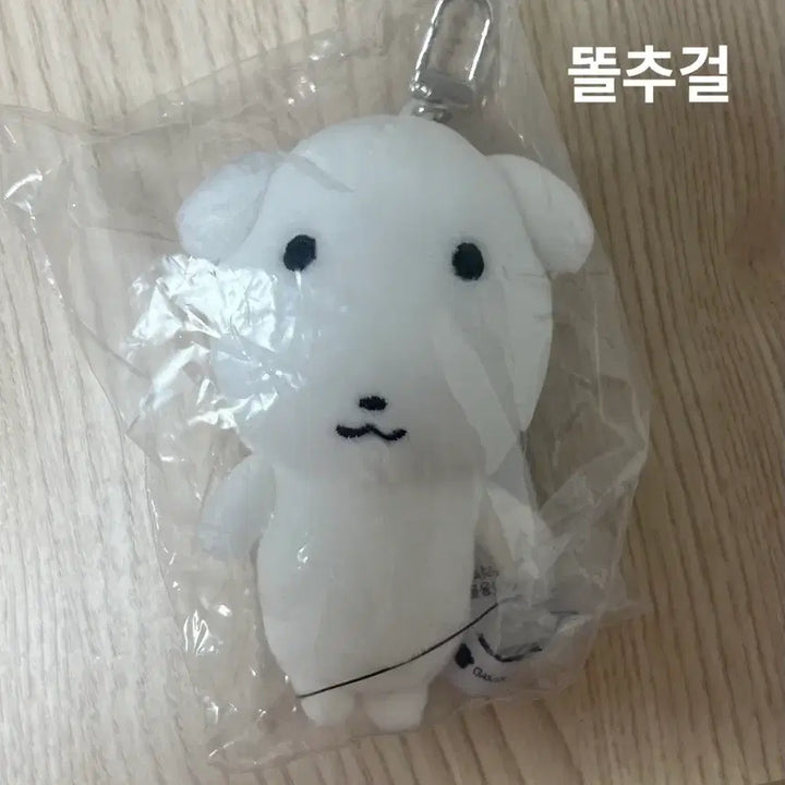 [BUNJANG] Gana-D Keyring (Sealed) / 가나디 키링 미개봉