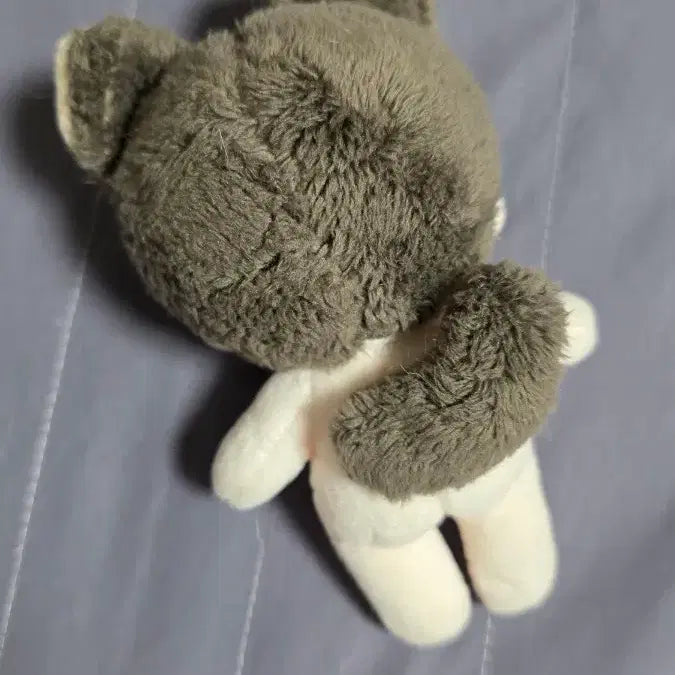 [BUNJANG] Lee Sejin 10cm Doll / 데못죽 큰세진 속성 시고르킁세 10깅 이세진 인형