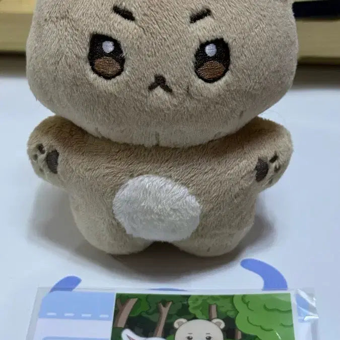 [SOLD OUT] 루시 최상엽 인형 상람쥐