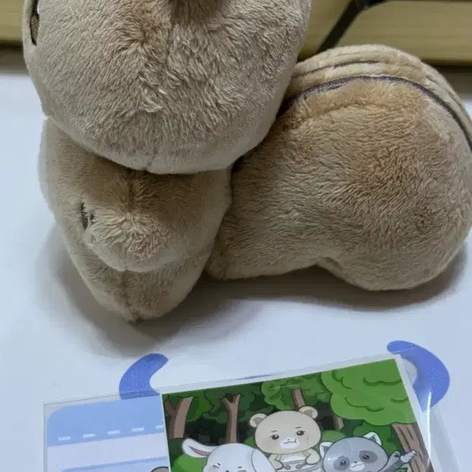 [SOLD OUT] 루시 최상엽 인형 상람쥐