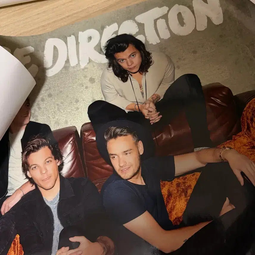 [BUNJANG] One Direction Harry Styles Fine Line Poster / 원디렉션 해리스타일스