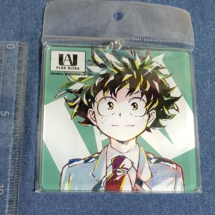 [BUNJANG] Midoriya Acrylic Keyring / 미도리야 빅 아크릴 키홀더