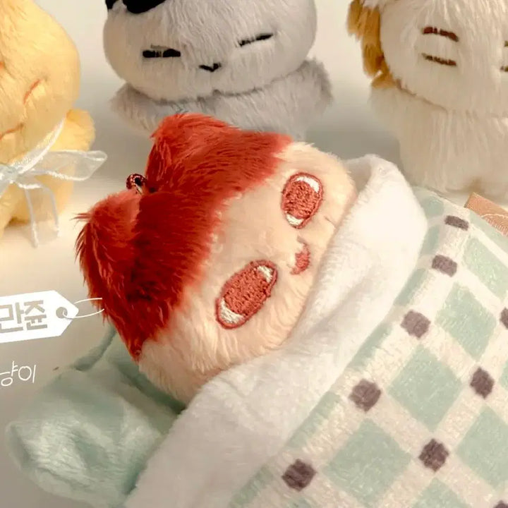 [BUNJANG] Seventeen Jun Night Jun Doll / 세븐틴 문준휘 준 인형 밤만쥰