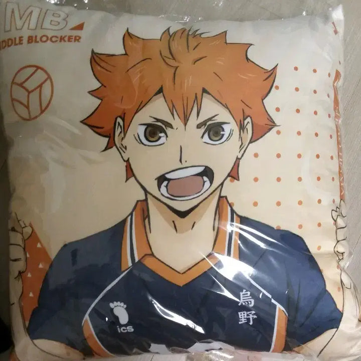 [BUNJANG] Haikyuu Hinata Shoyo / 하이큐 히나타 쇼요  쿠션