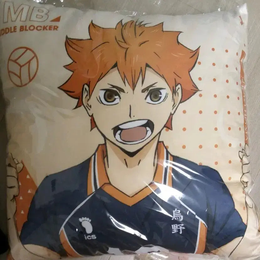 [BUNJANG] Haikyuu Hinata Shoyo / 하이큐 히나타 쇼요  쿠션