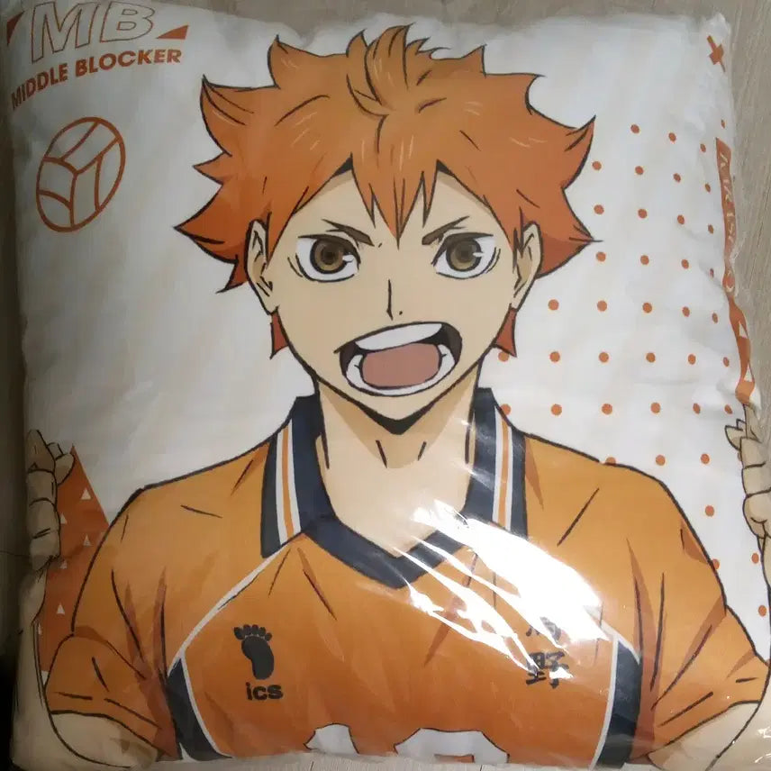 [BUNJANG] Haikyuu Hinata Shoyo / 하이큐 히나타 쇼요  쿠션