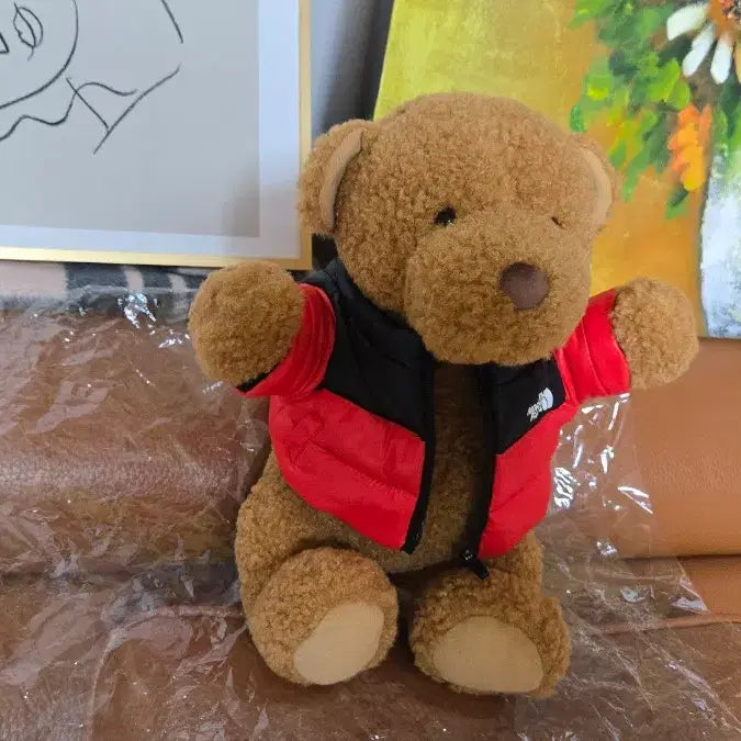 [BUNJANG] The North Face Nuptse Bear 30th Anniversary Limited Edition / 노스페이스눕시베어/30주년한정판/새상품