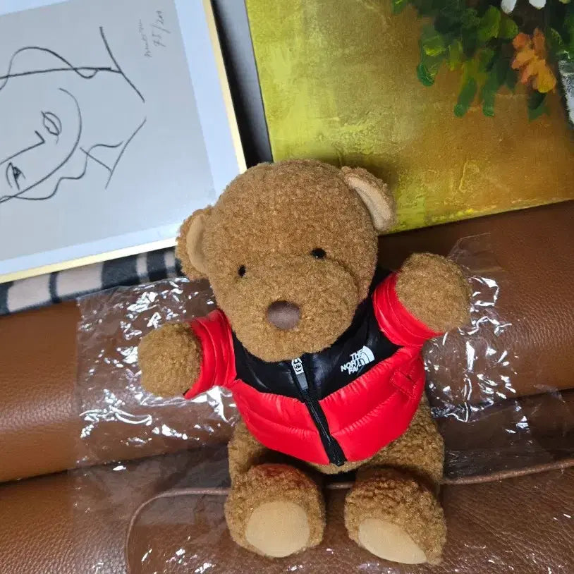 [BUNJANG] The North Face Nuptse Bear 30th Anniversary Limited Edition / 노스페이스눕시베어/30주년한정판/새상품