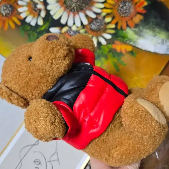 [BUNJANG] The North Face Nuptse Bear 30th Anniversary Limited Edition / 노스페이스눕시베어/30주년한정판/새상품