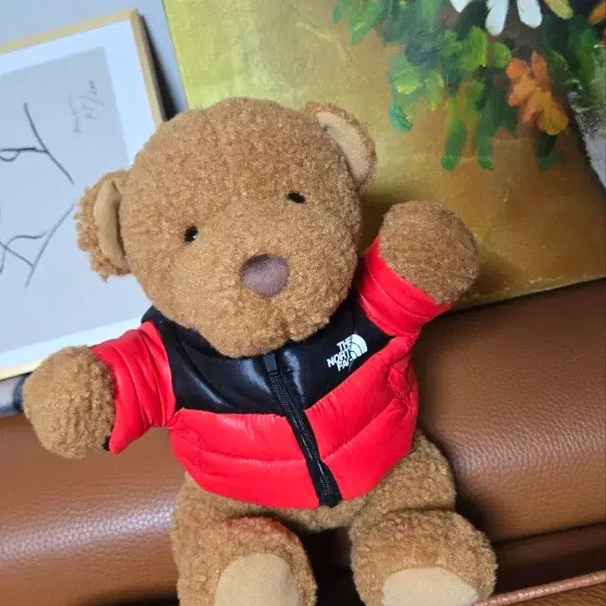 [BUNJANG] The North Face Nuptse Bear 30th Anniversary Limited Edition / 노스페이스눕시베어/30주년한정판/새상품