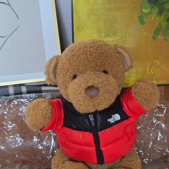 [BUNJANG] The North Face Nuptse Bear 30th Anniversary Limited Edition / 노스페이스눕시베어/30주년한정판/새상품