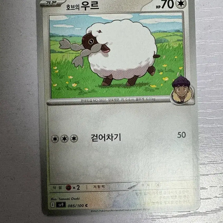 [SOLD OUT] [귀여운 포켓몬 카드] 호브의 우르