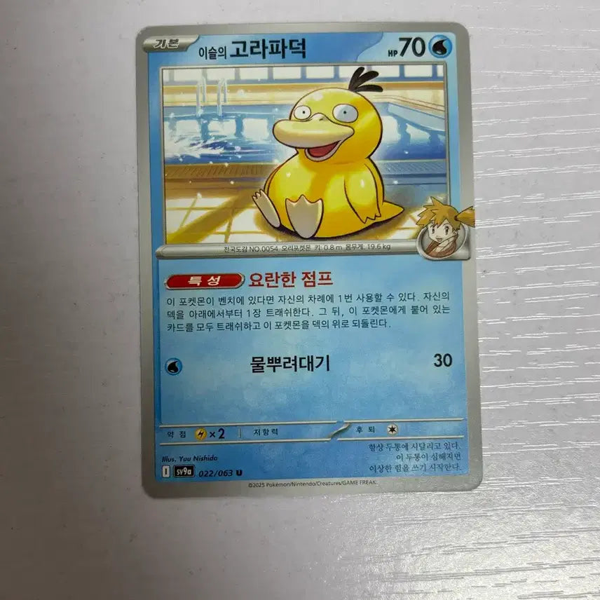[SOLD OUT] [귀여운 포켓몬 카드] 이슬의 고라파덕