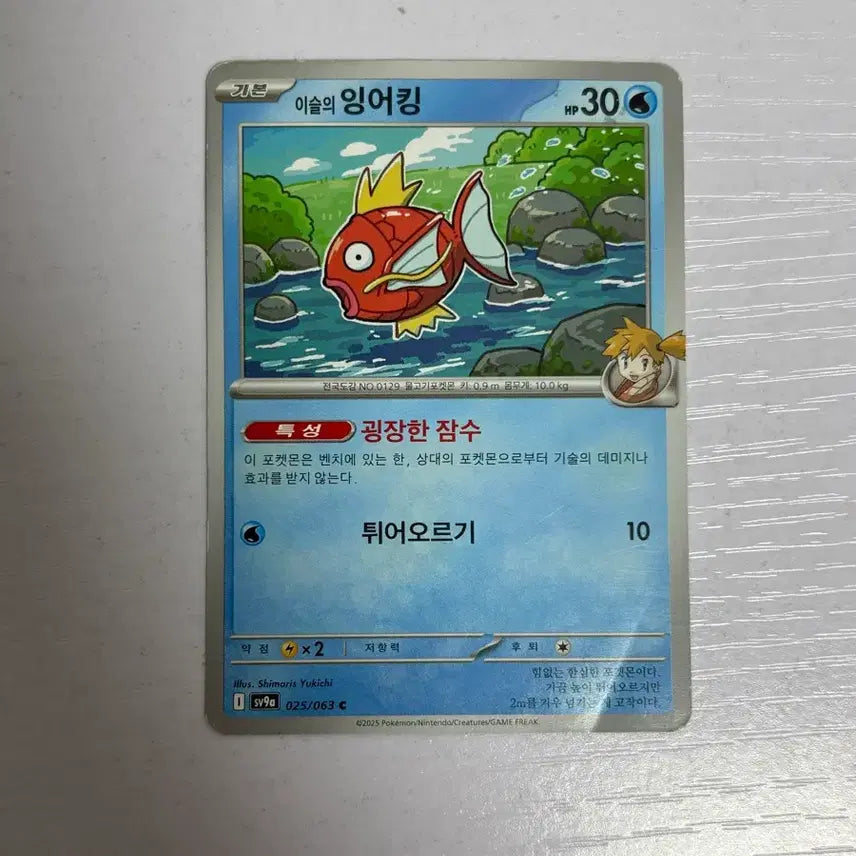[BUNJANG] Pokemon Card Magikarp (Foune) / [귀여운 포켓몬 카드] 이슬의 잉어킹