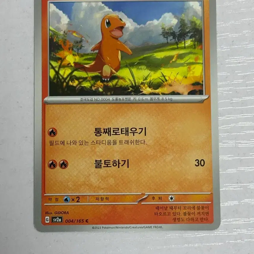 [SOLD OUT] [귀여운 포켓몬 카드] 파이리 (Charmander)